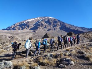 Climbing Kilimanjaro Lemosho route