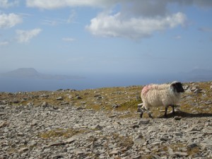 Top of Ireland Holy mountain Croagh Patrick