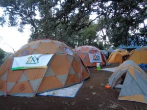 Big tree camp on the Lemosho Route