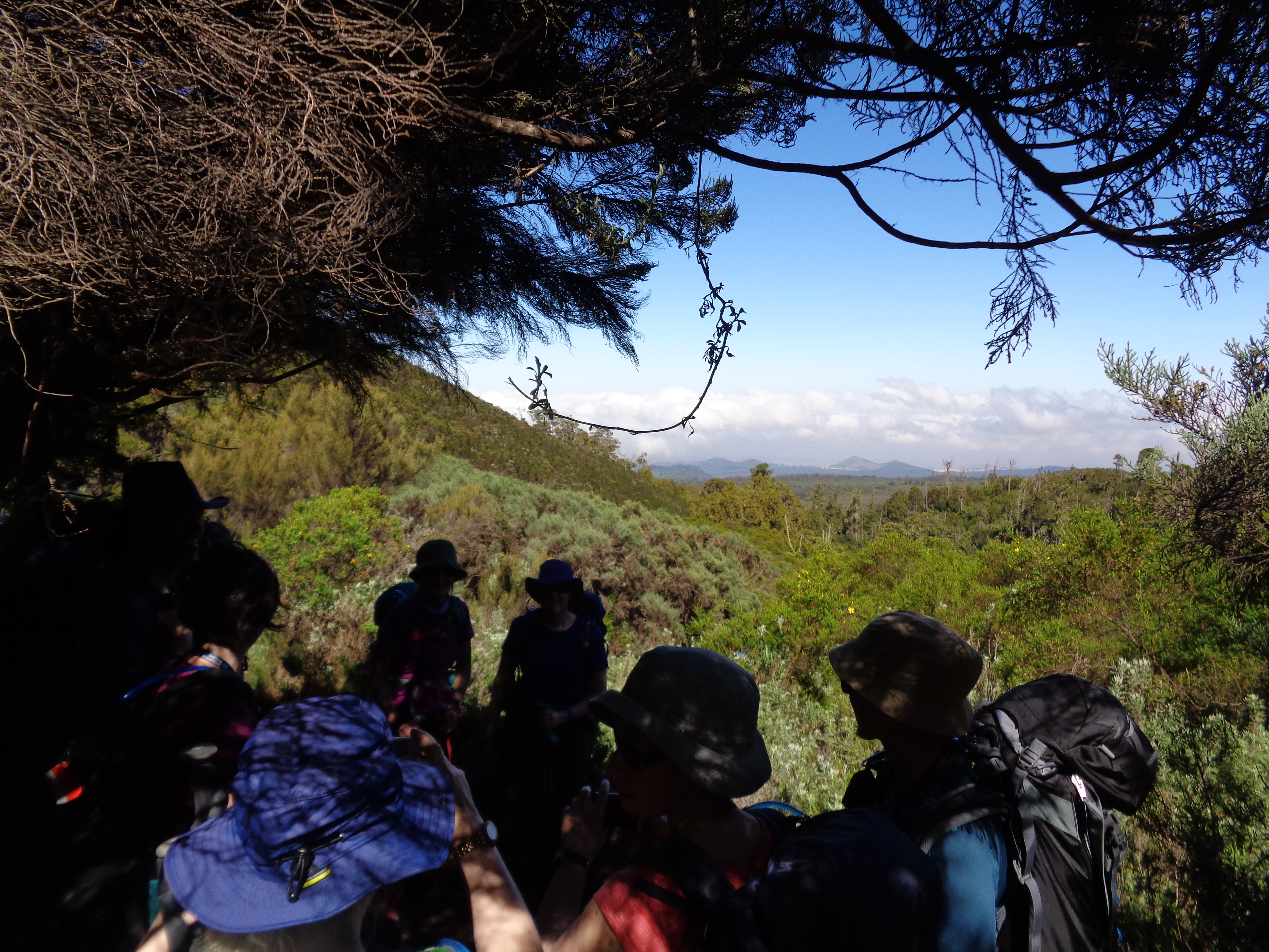 Lemosho Route on Kilimanjaro