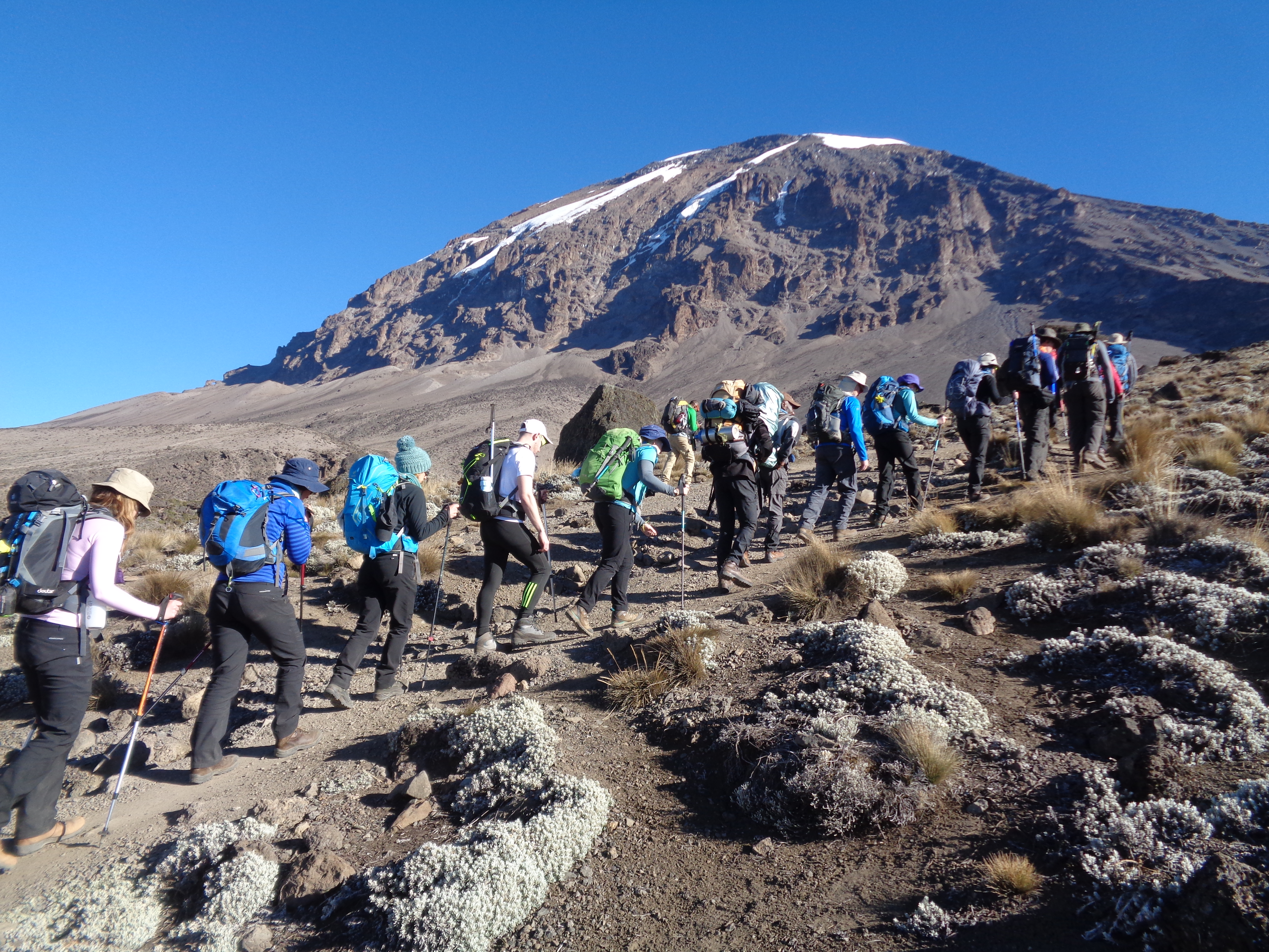 The Lemosho Route Up Kilimanjaro