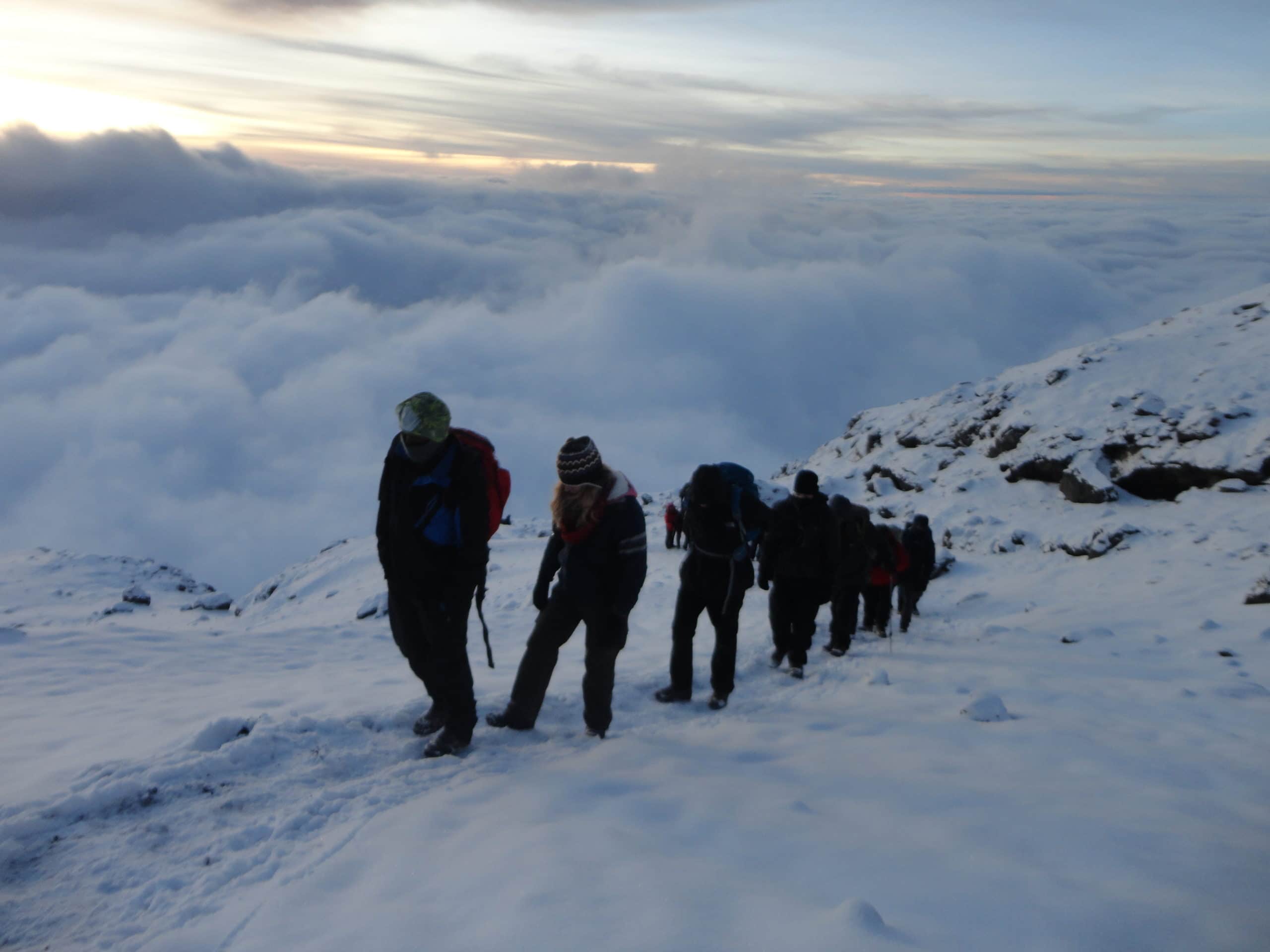 Article on Climbing Kilimanjaro: Best route Best team Best Acclimatization