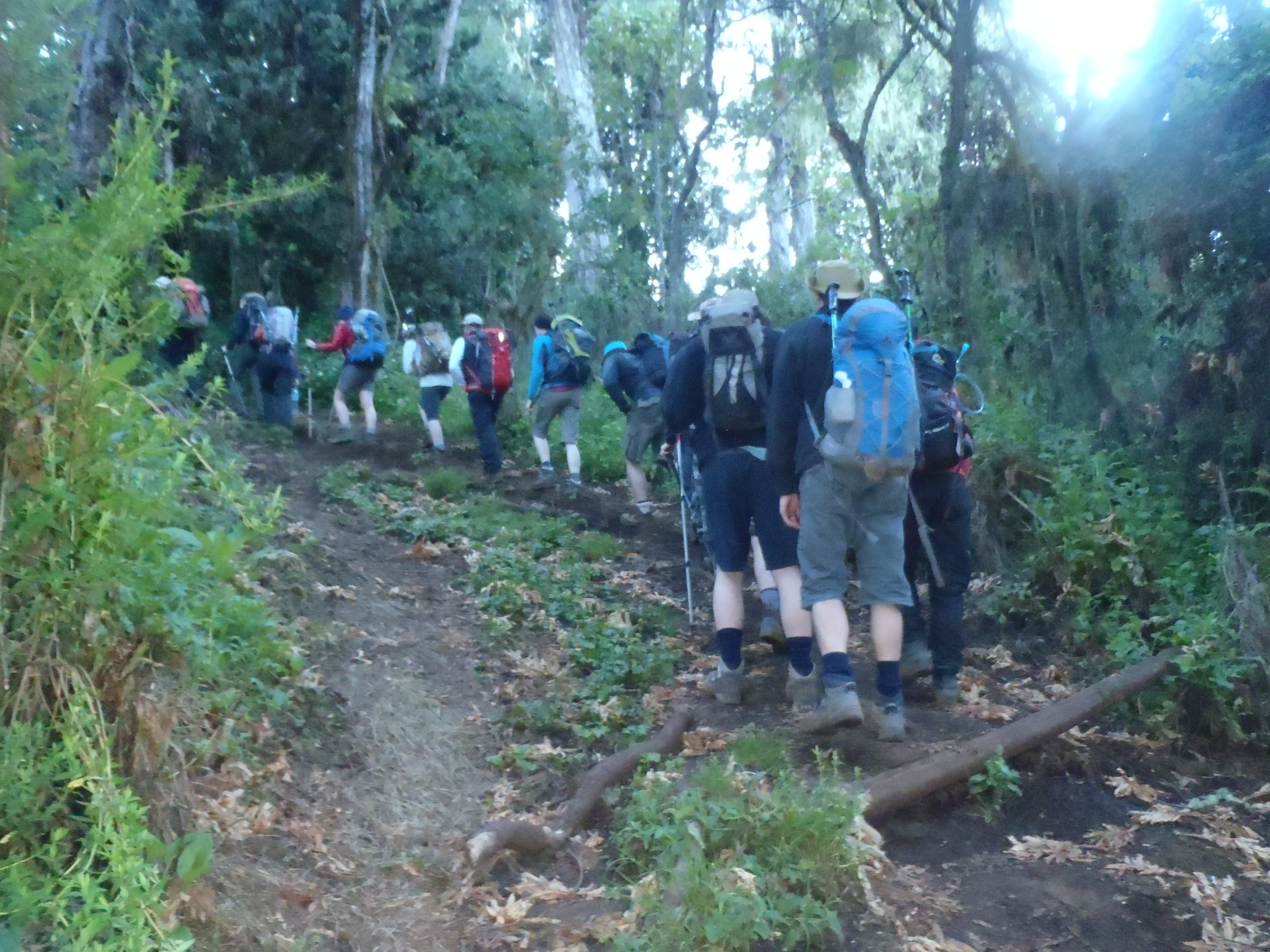 Training for Kilimanjaro The Best Information