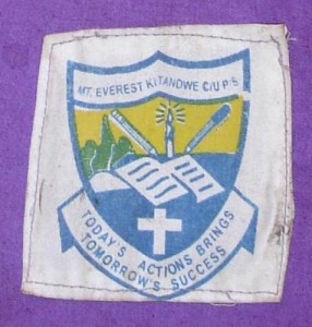 Everest school logo