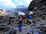 Distance traveled on the Machame route up Kilimanjaro