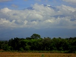 Kilimanjaro from the road side