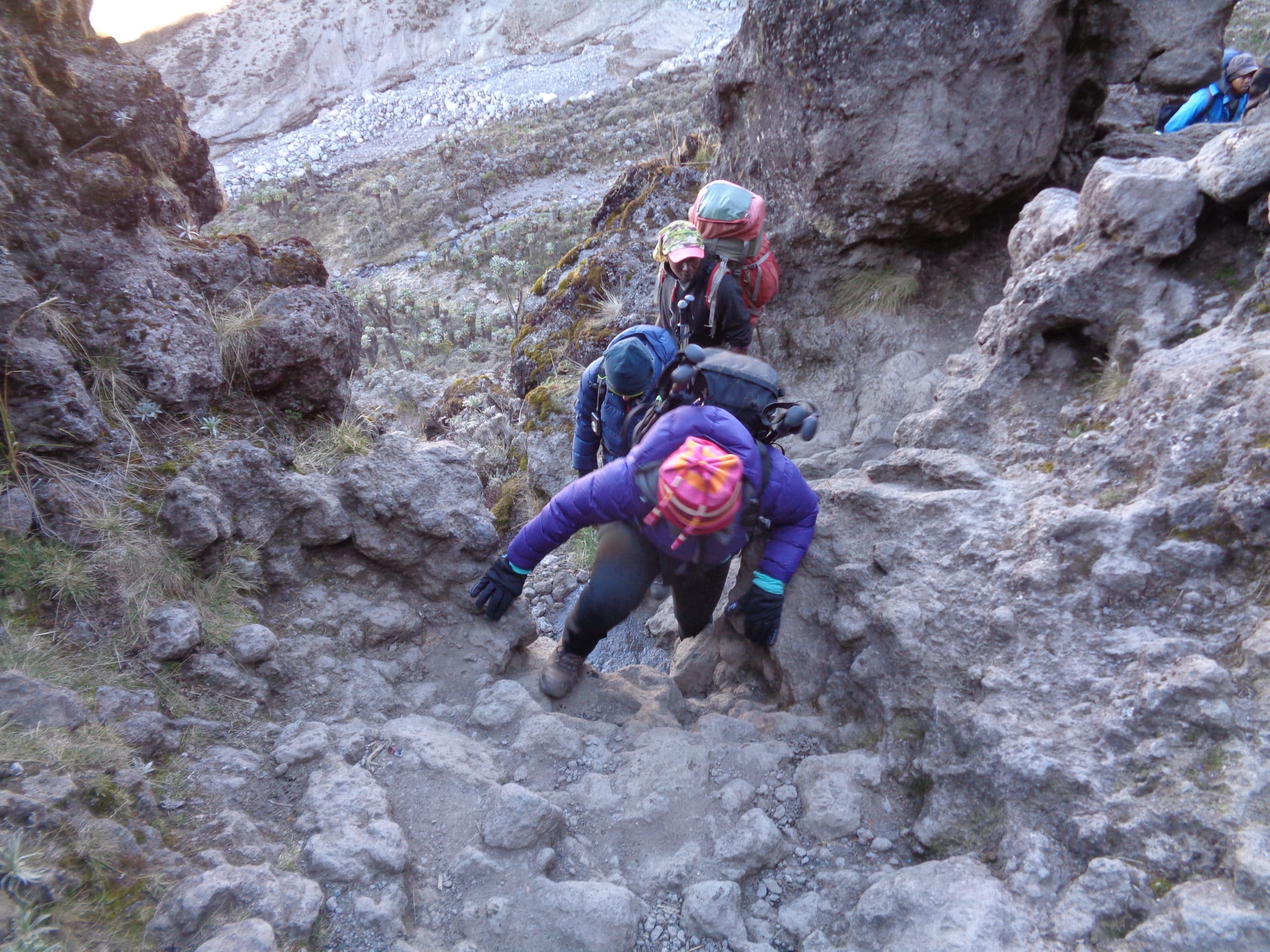 Climbing Kilimanjaro is for trekkers not tourists