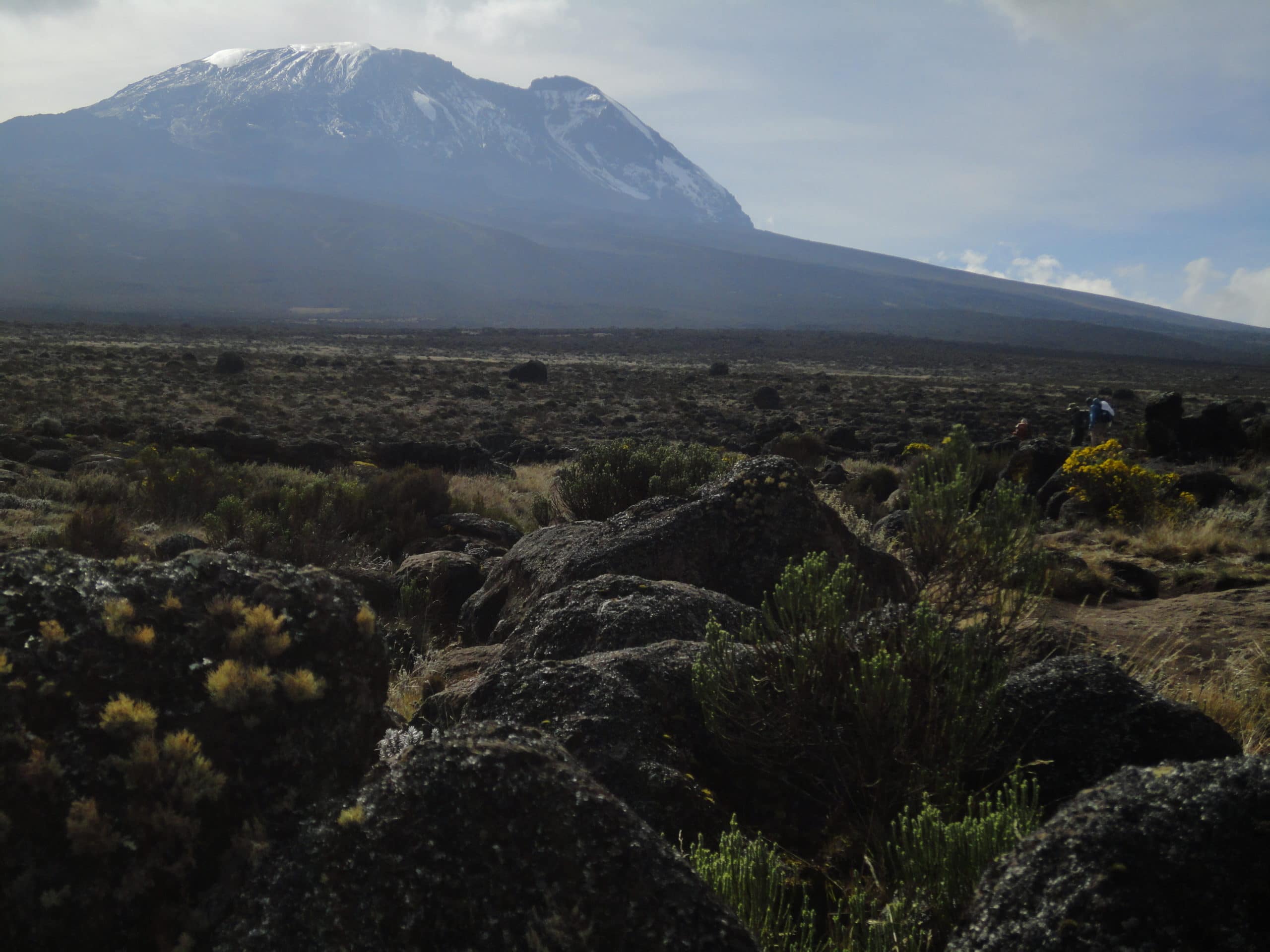 The summit of Kilimanjaro from the Shira Plateau