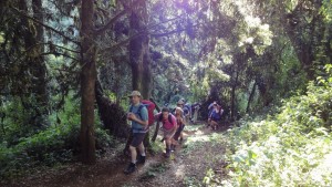 Climbing Kilimanjaro with Ian Taylor Trekking 