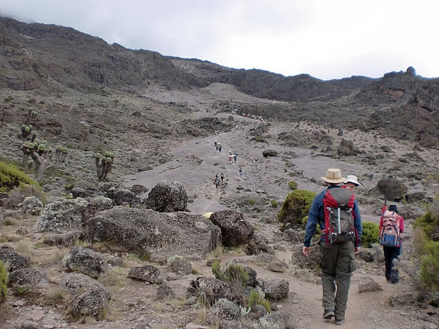 Climbing Kilimanjaro with Ian Taylor Trekking