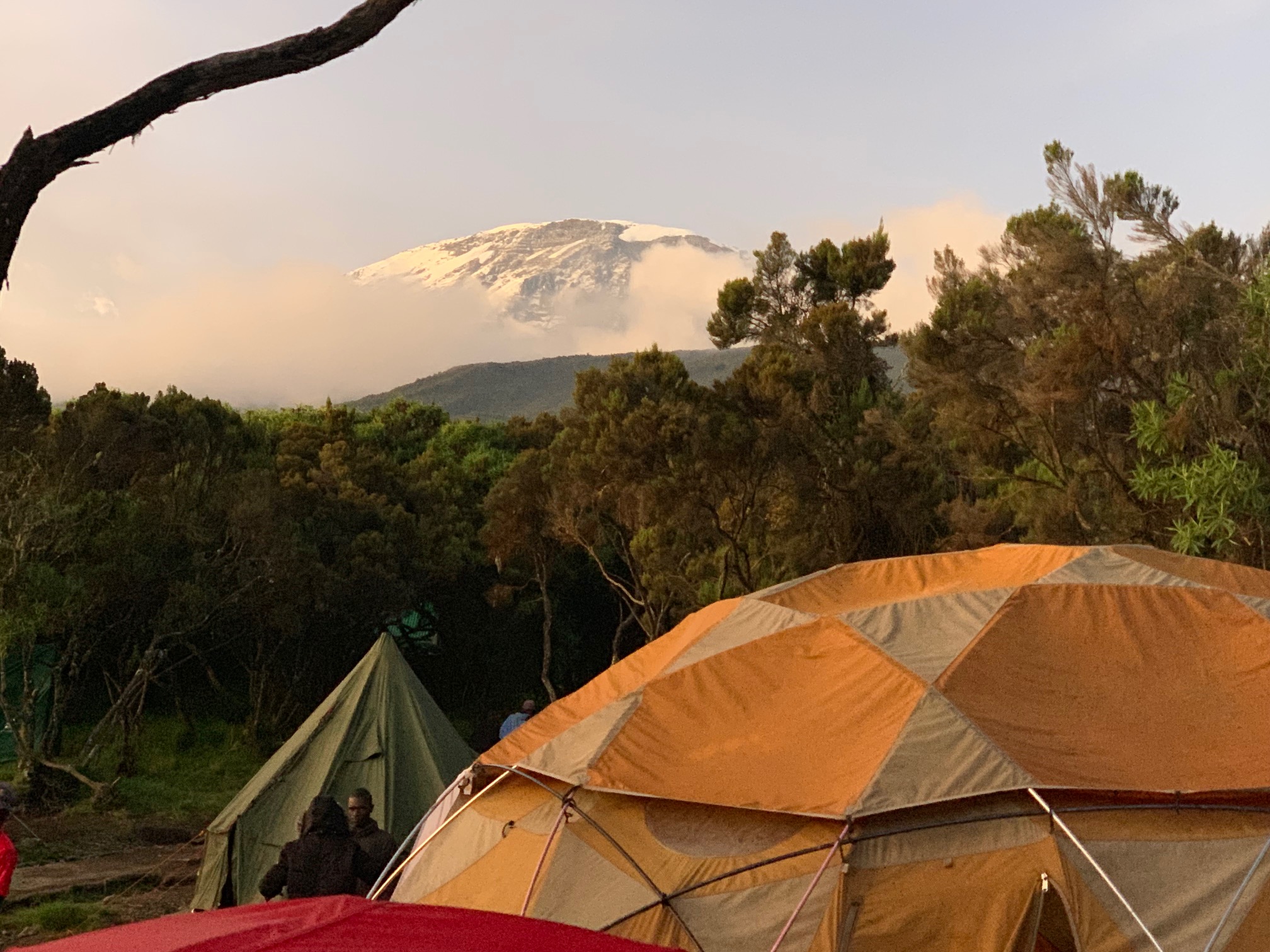 Kilimanjaro Day 8 Lemosho Route