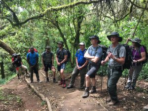 Heading through the Rain Forest on Day 1 of the Lemosho Route