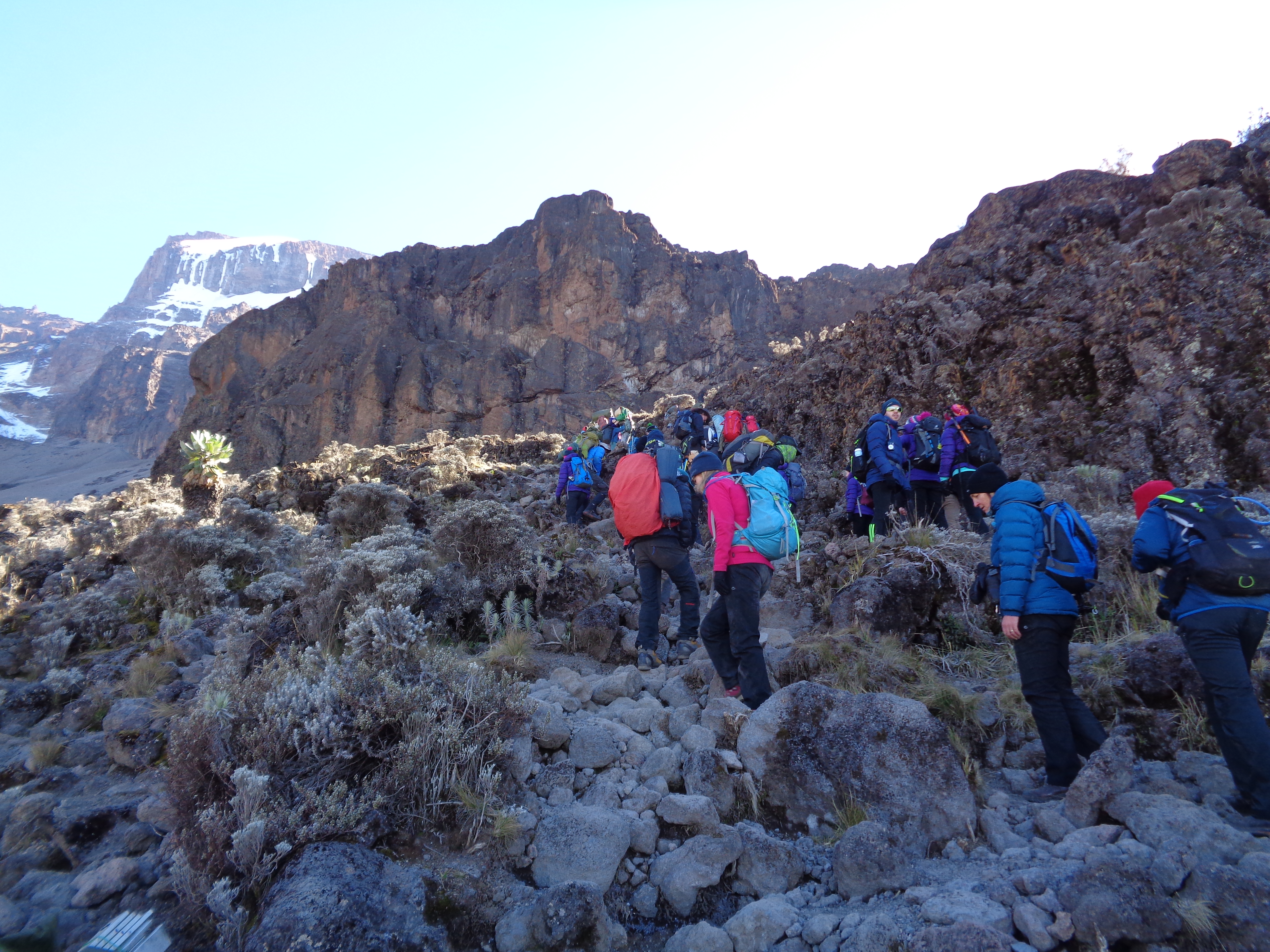 Ian Taylor Trekking on Kilimanjaro