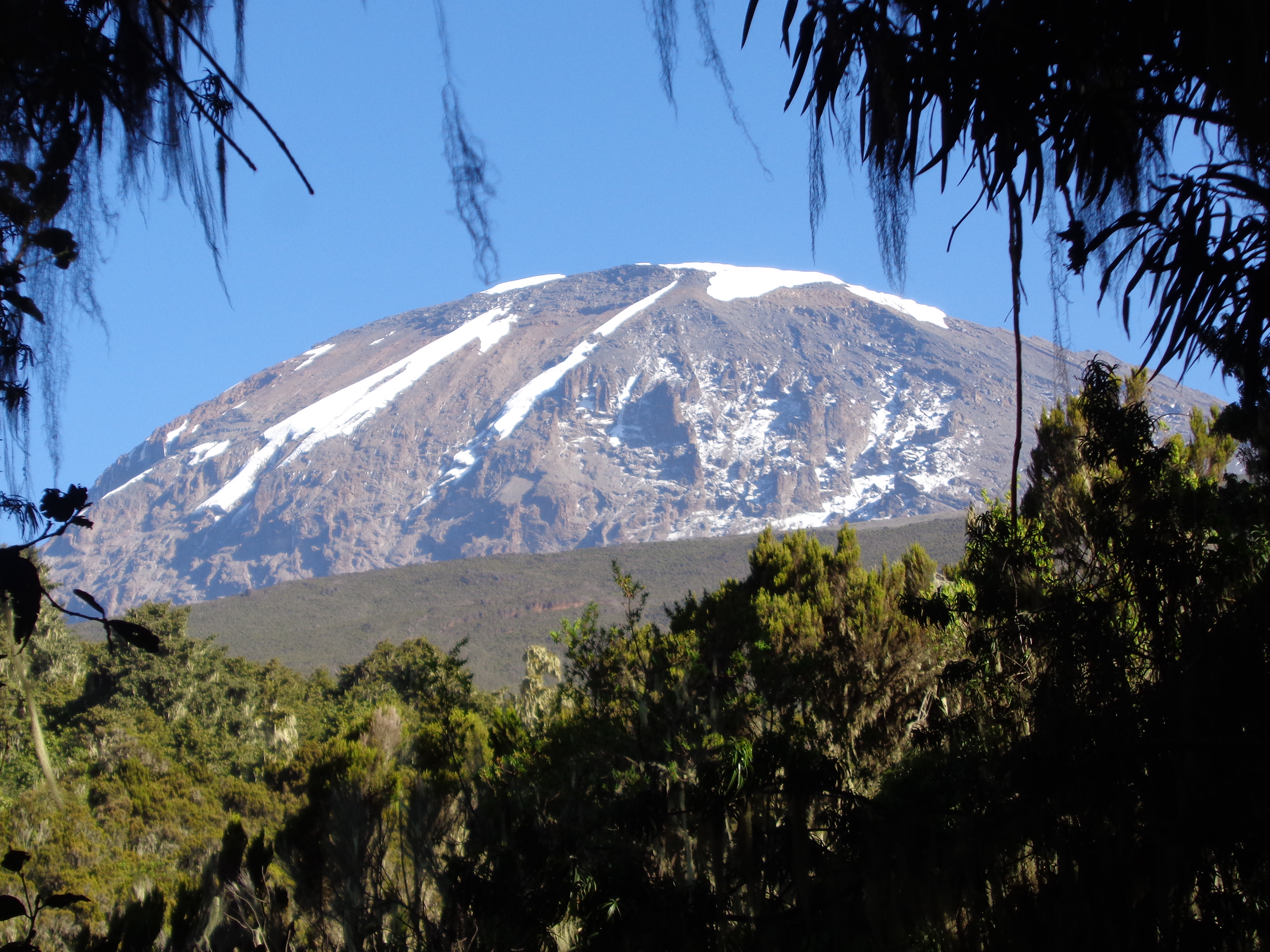 Kilimanjaro Views