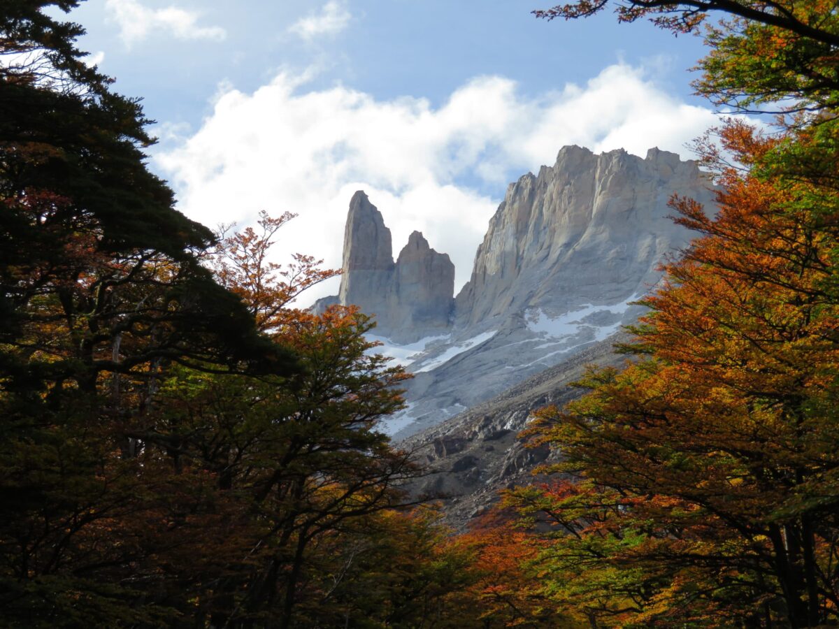 Patagonia Treks