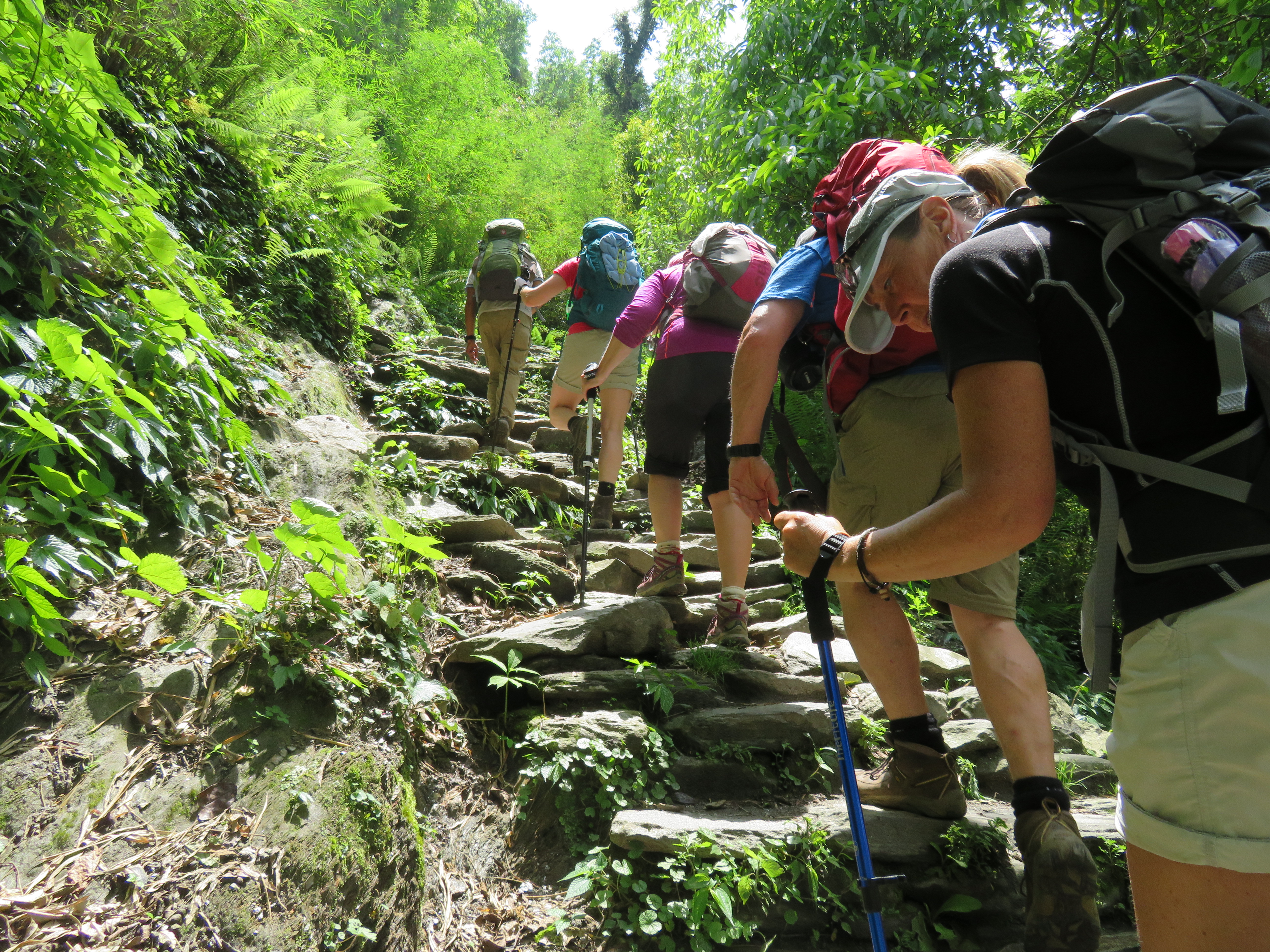 Staircase hiking in the Annapurna region