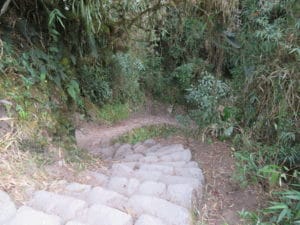 Some of the Steep Steps on the Inca Trail