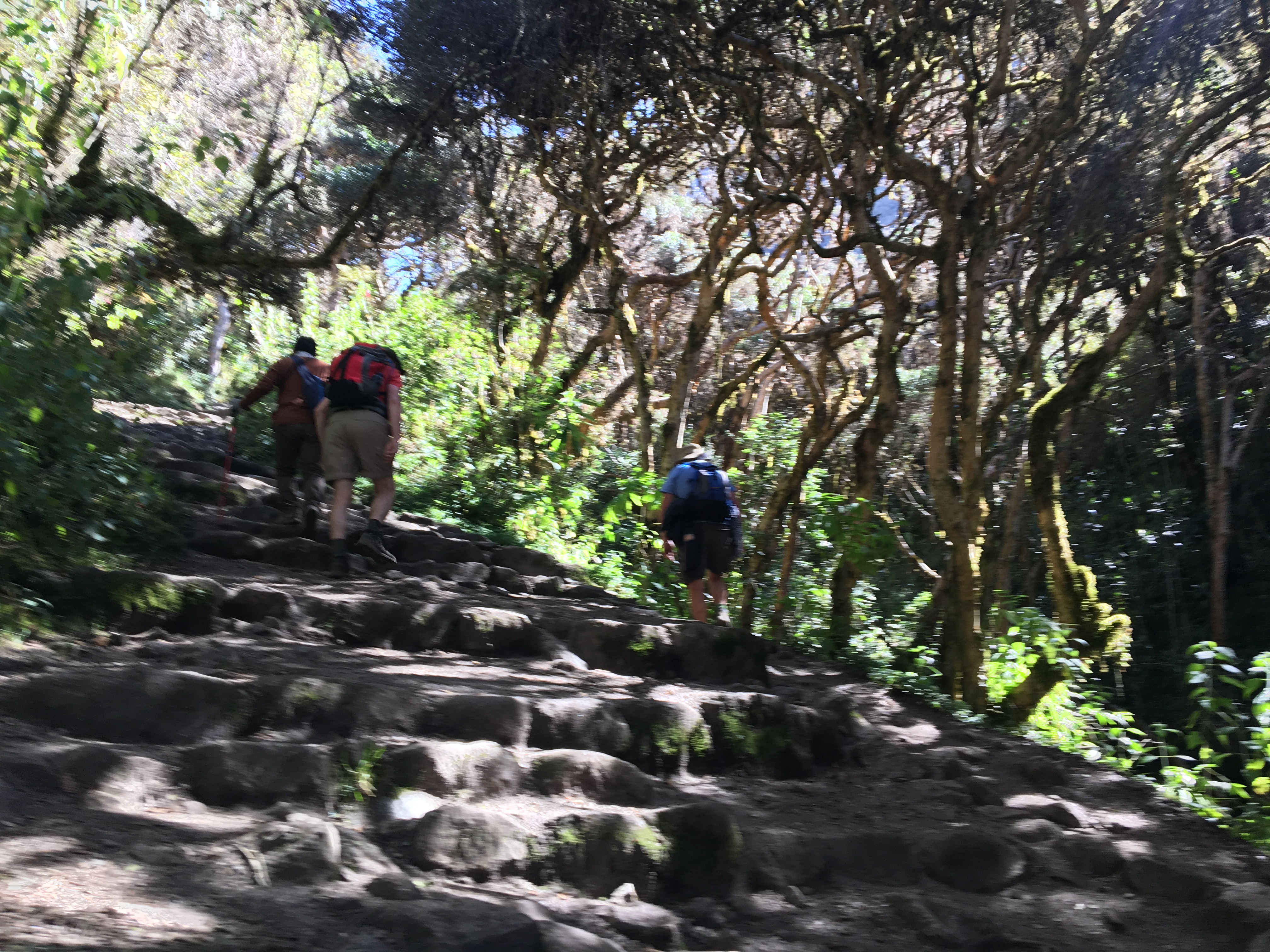 Top Tips for the Inca Trail