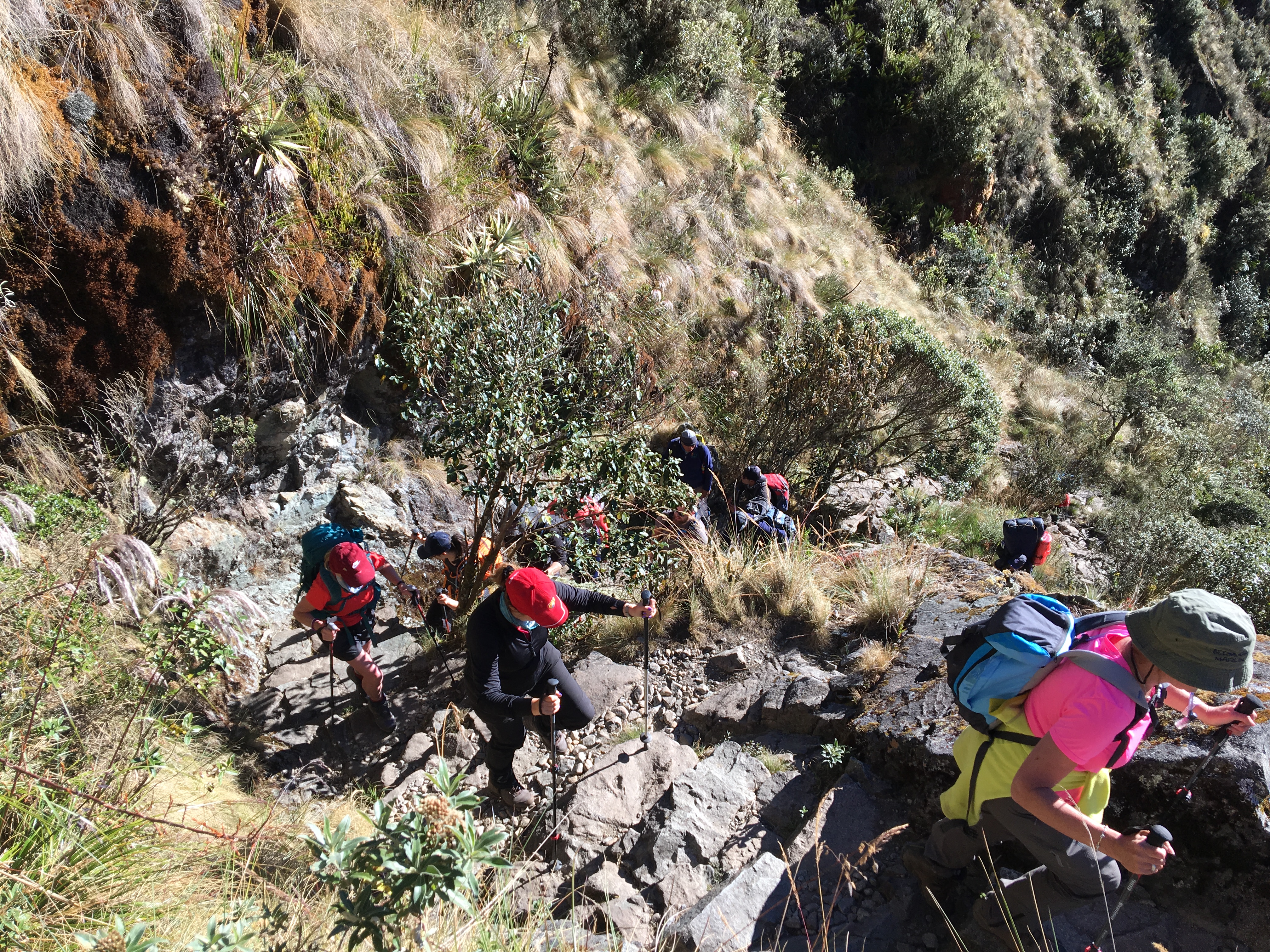 Steep Steps on the Inca Trail