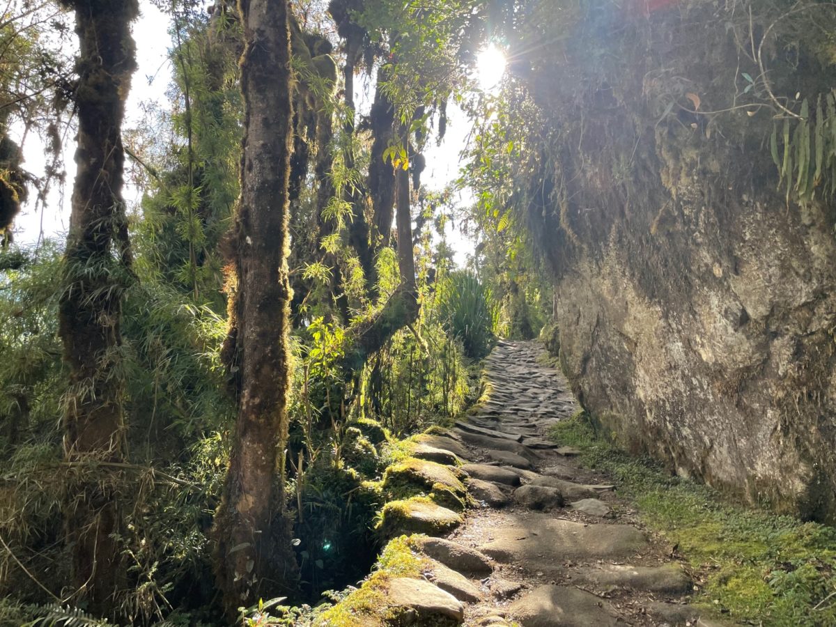 Elevation gains on the Inca Trail