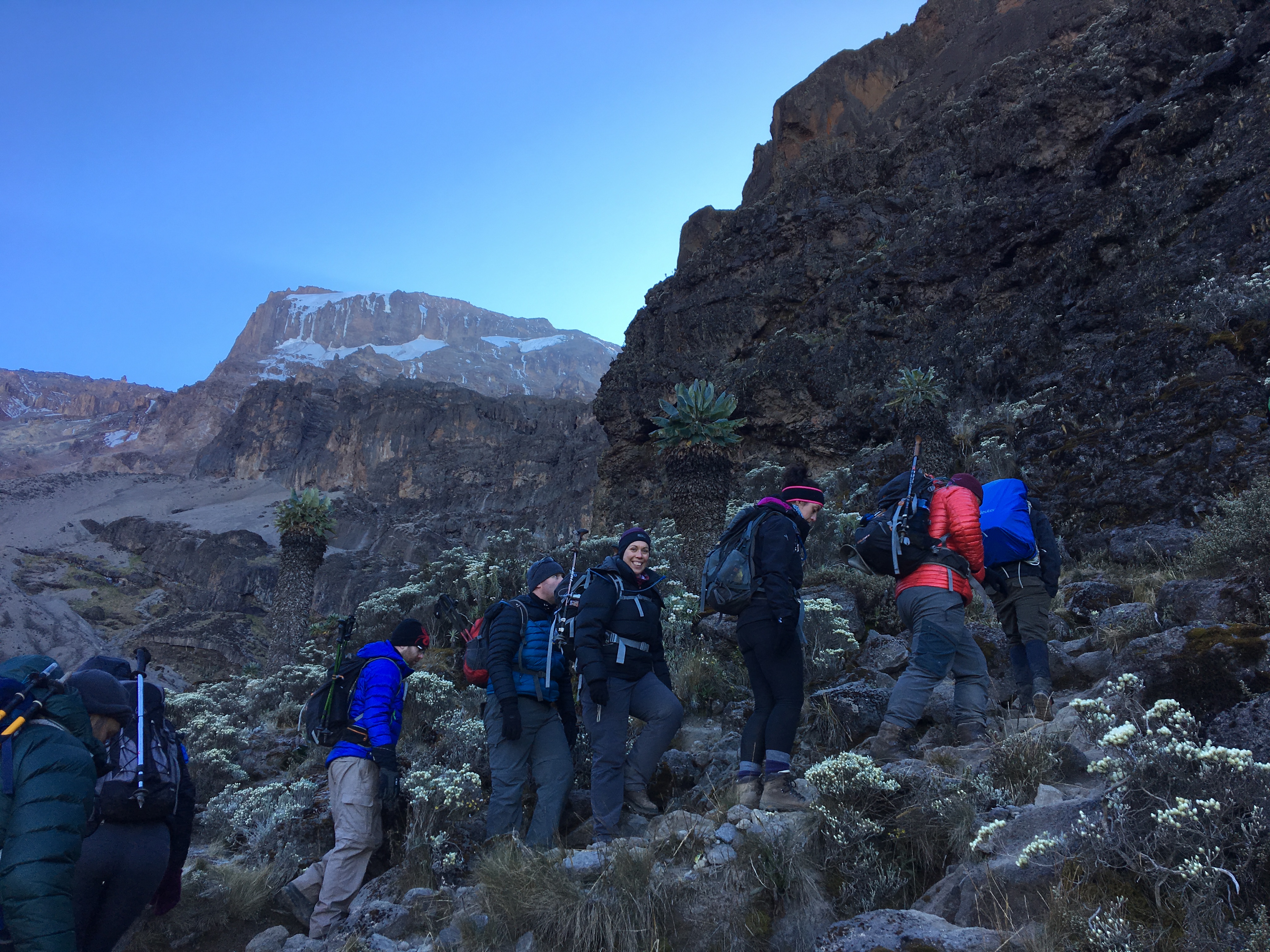 Heading up the Barranco Wall on Kilimanjaro