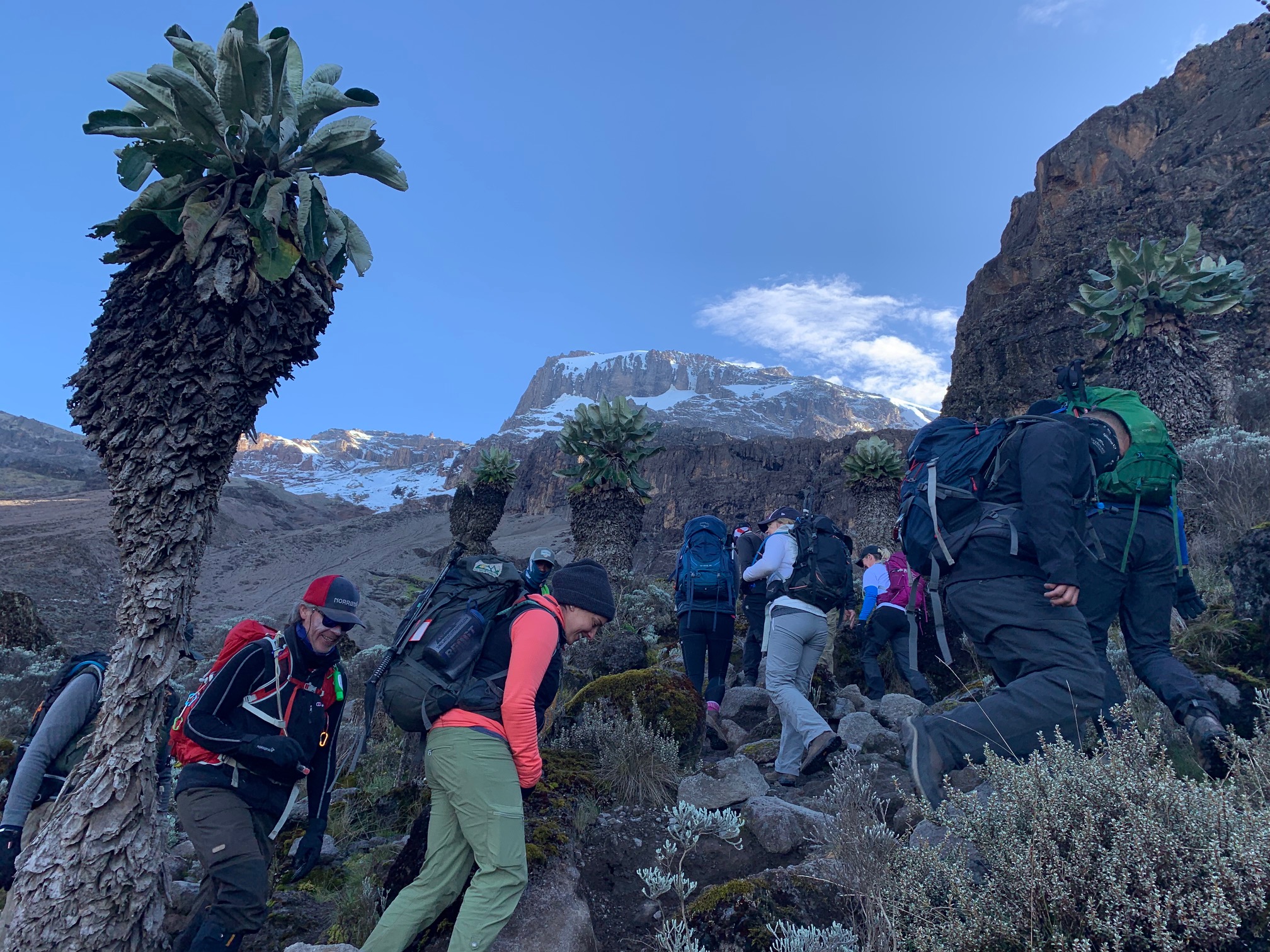 Heading up the Barranco Wall on Kilimanjaro
