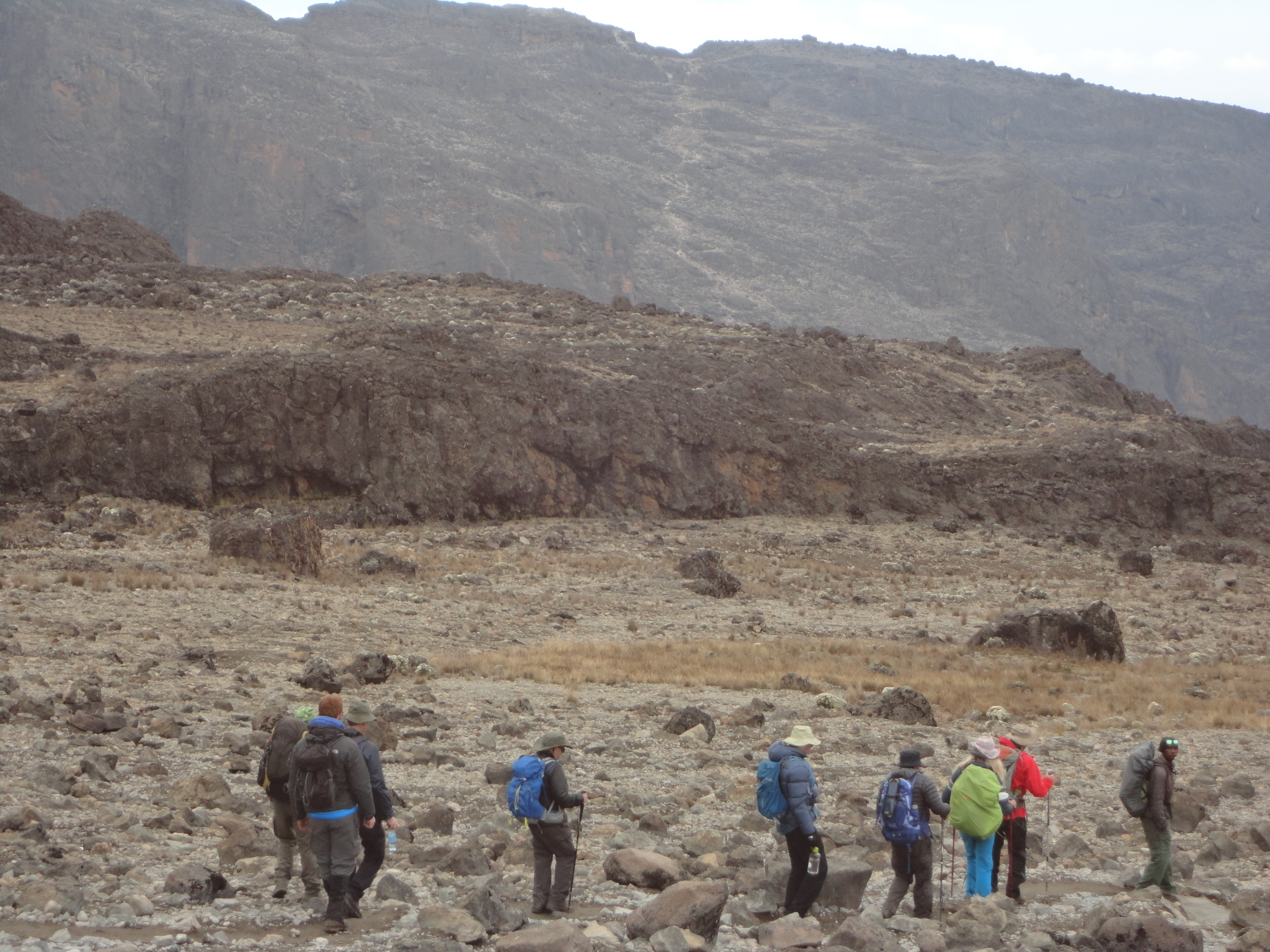 The Best Acclimatization for Climbing Kilimanjaro