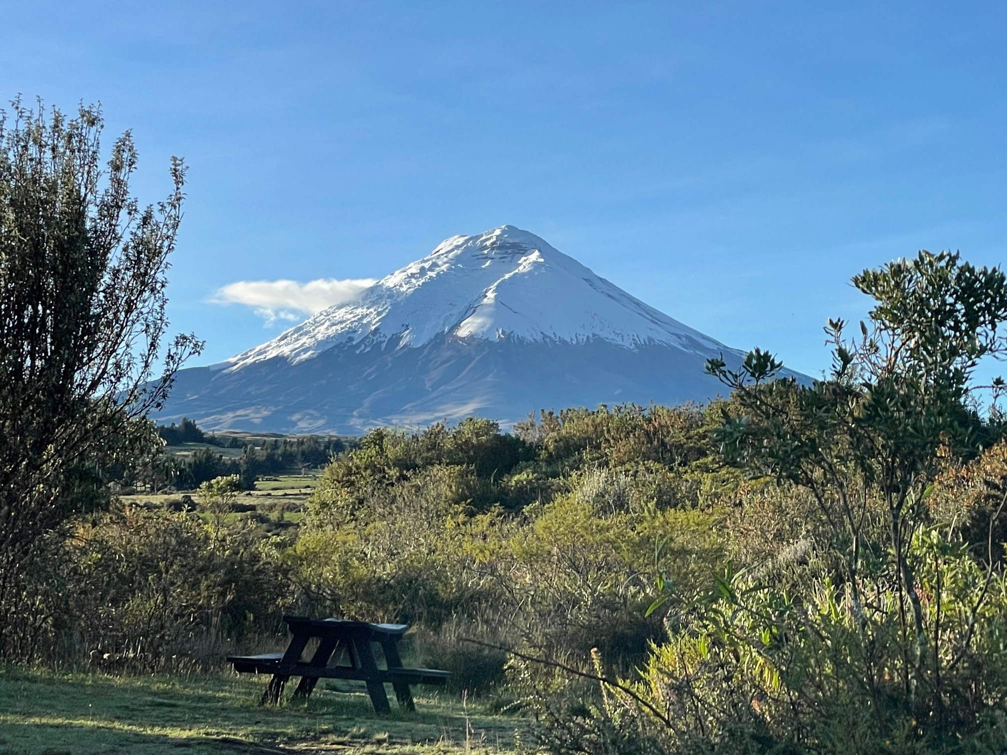 Cotopaxi from Chilcabamca Lodge