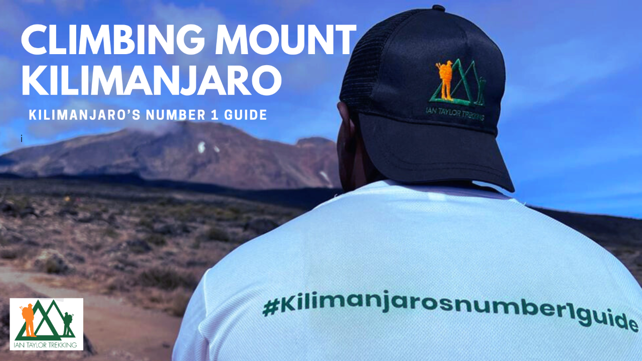 Kilimanjaro's Number 1 Guide