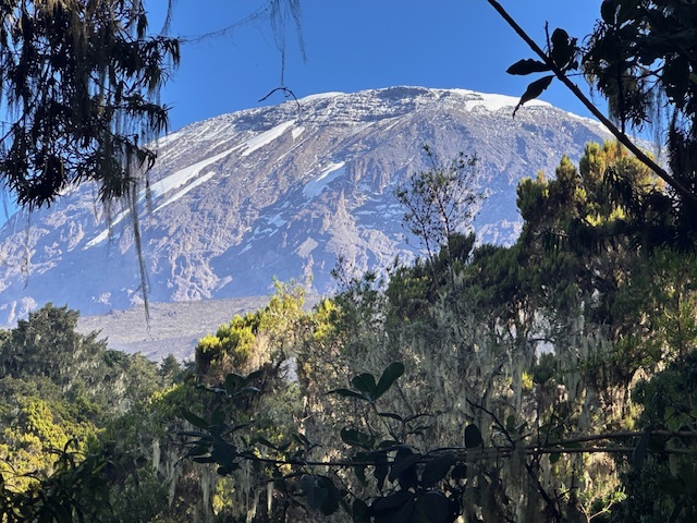 Kilimanjaro from the rainforest